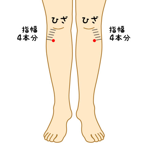 「足三里 フリー画像」の画像検索結果